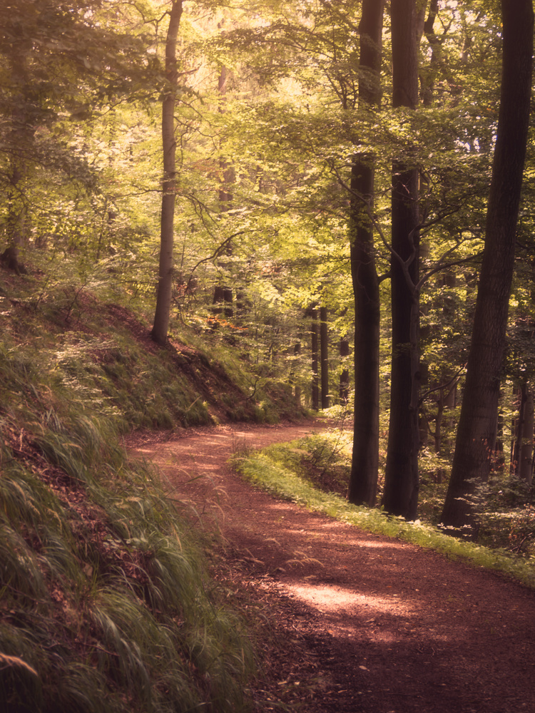 View fantasy hike by Michael Moennig