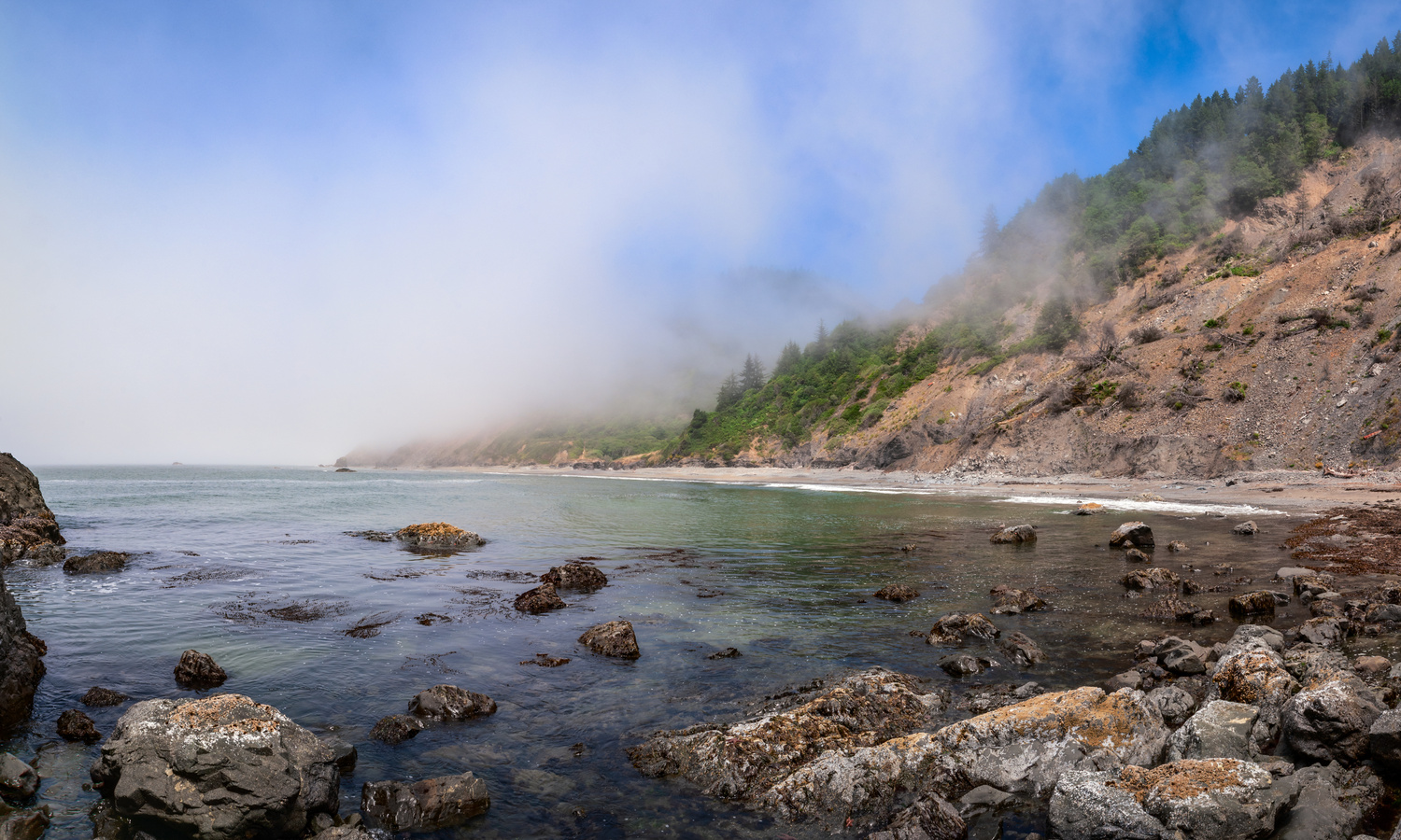 View Untitled 2 by Richie Bednarski