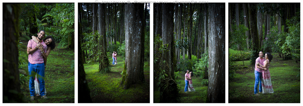 View Untitled 3 by Jonathan Solis