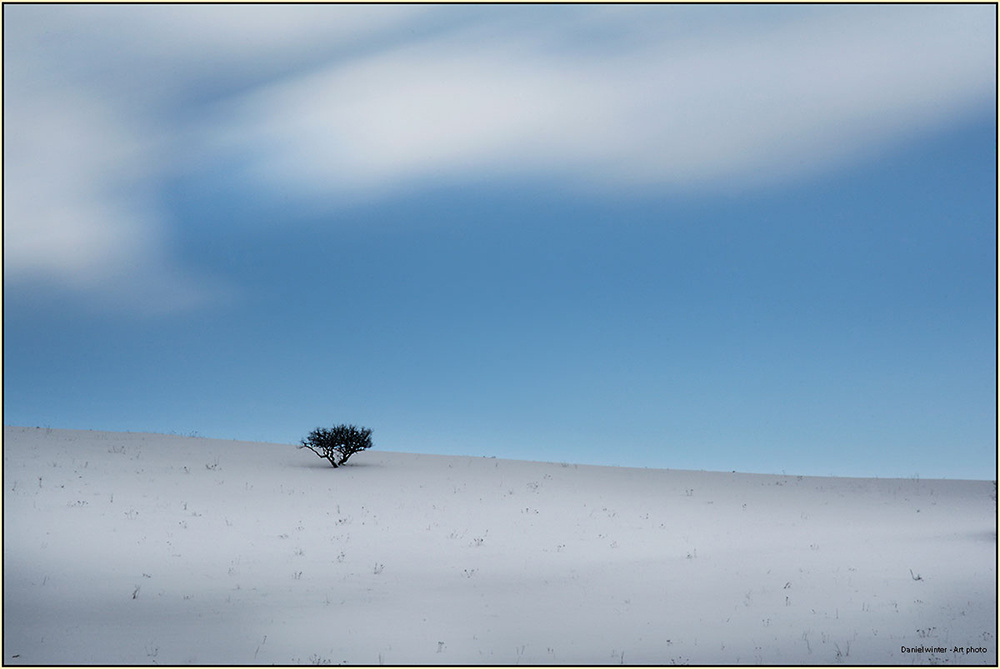 View Snow by Daniel Winter