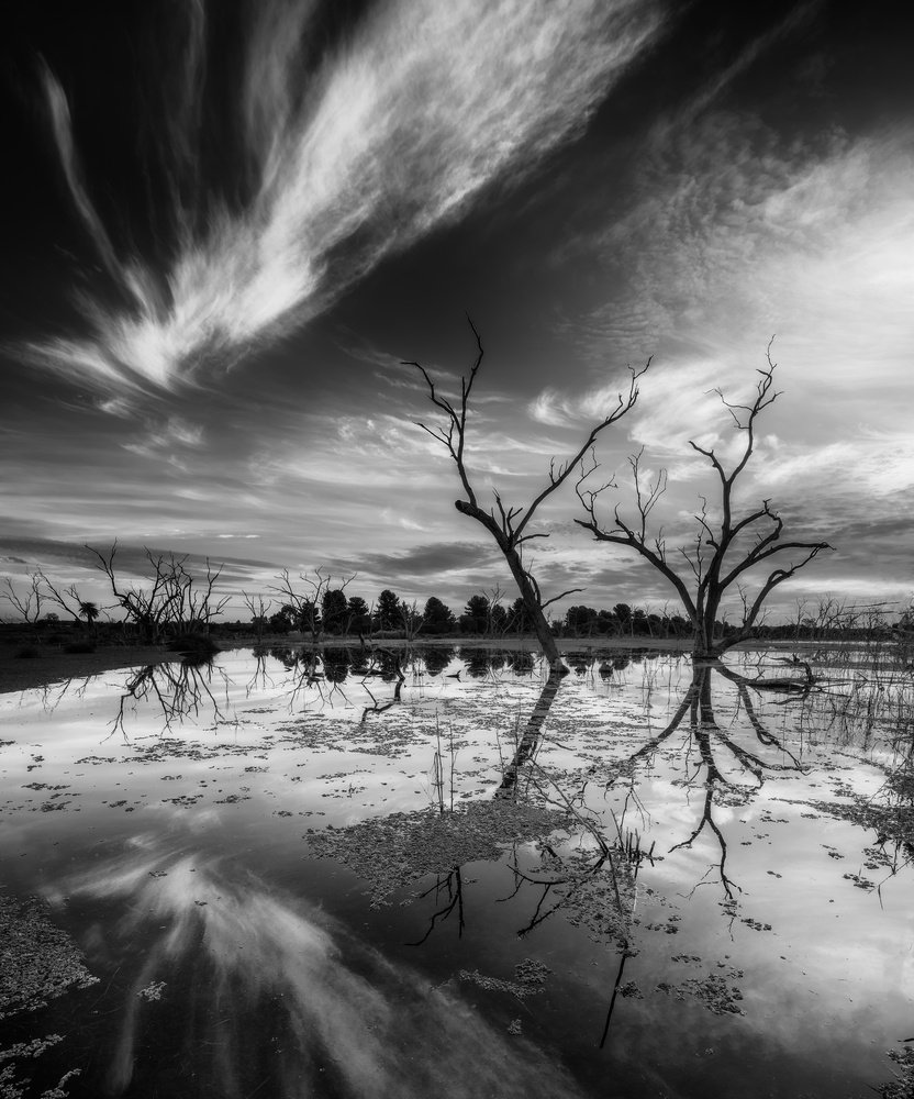 View Untitled 1 by Jeff Allen