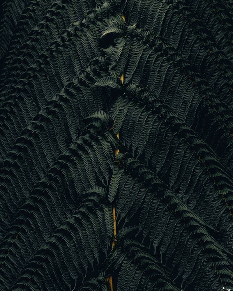 View Untitled 1 by Abdullah Alansari