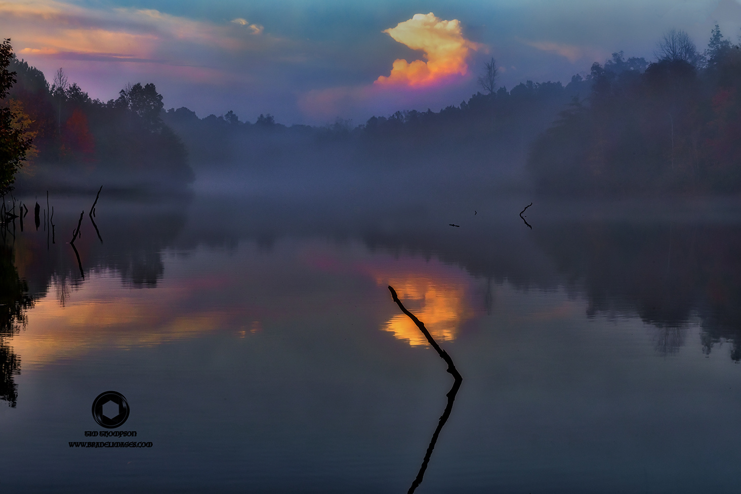 View Foggy Sunset by Tim Thompson