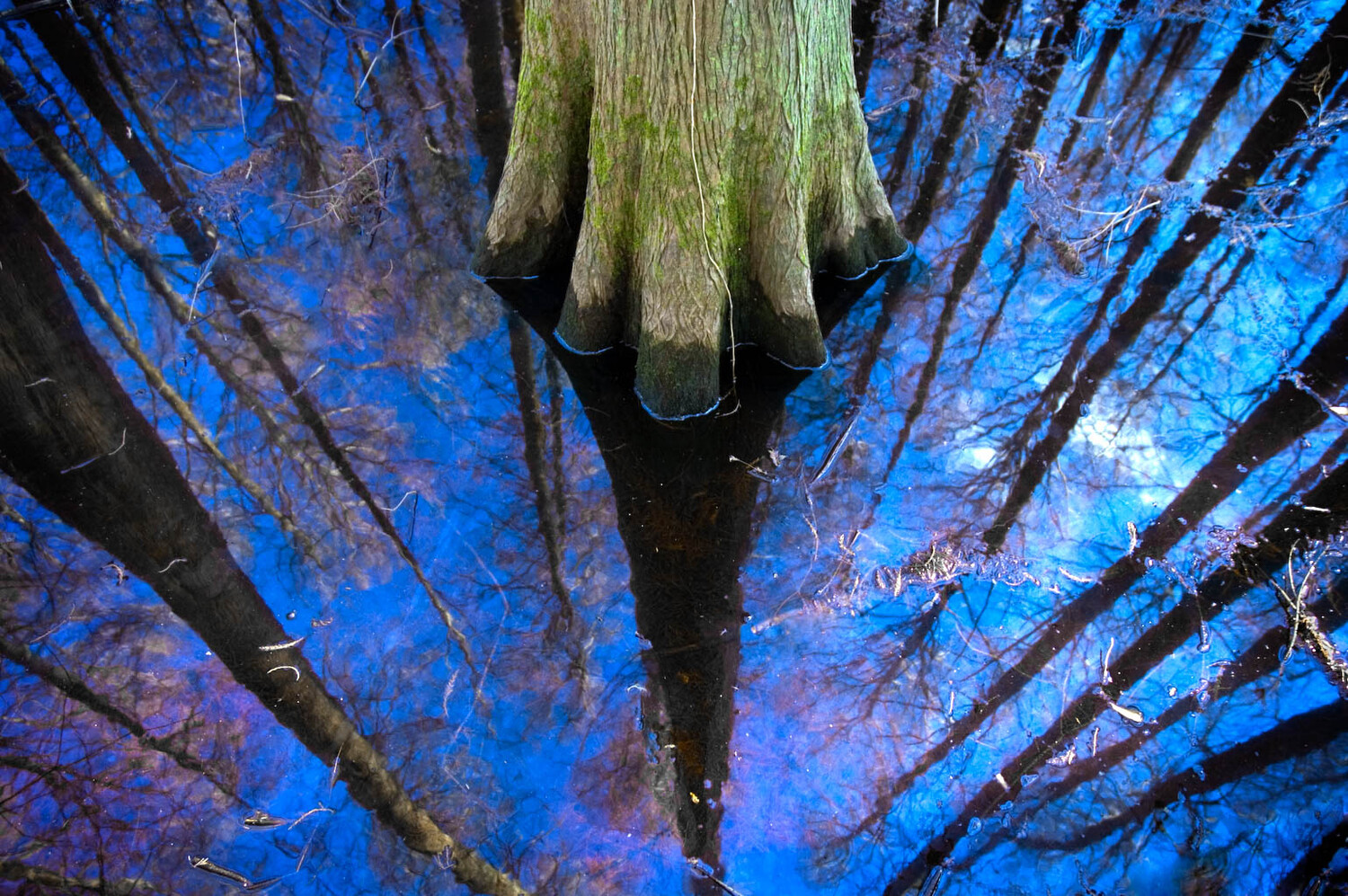 View Untitled 1 by Duncan Mckinnon