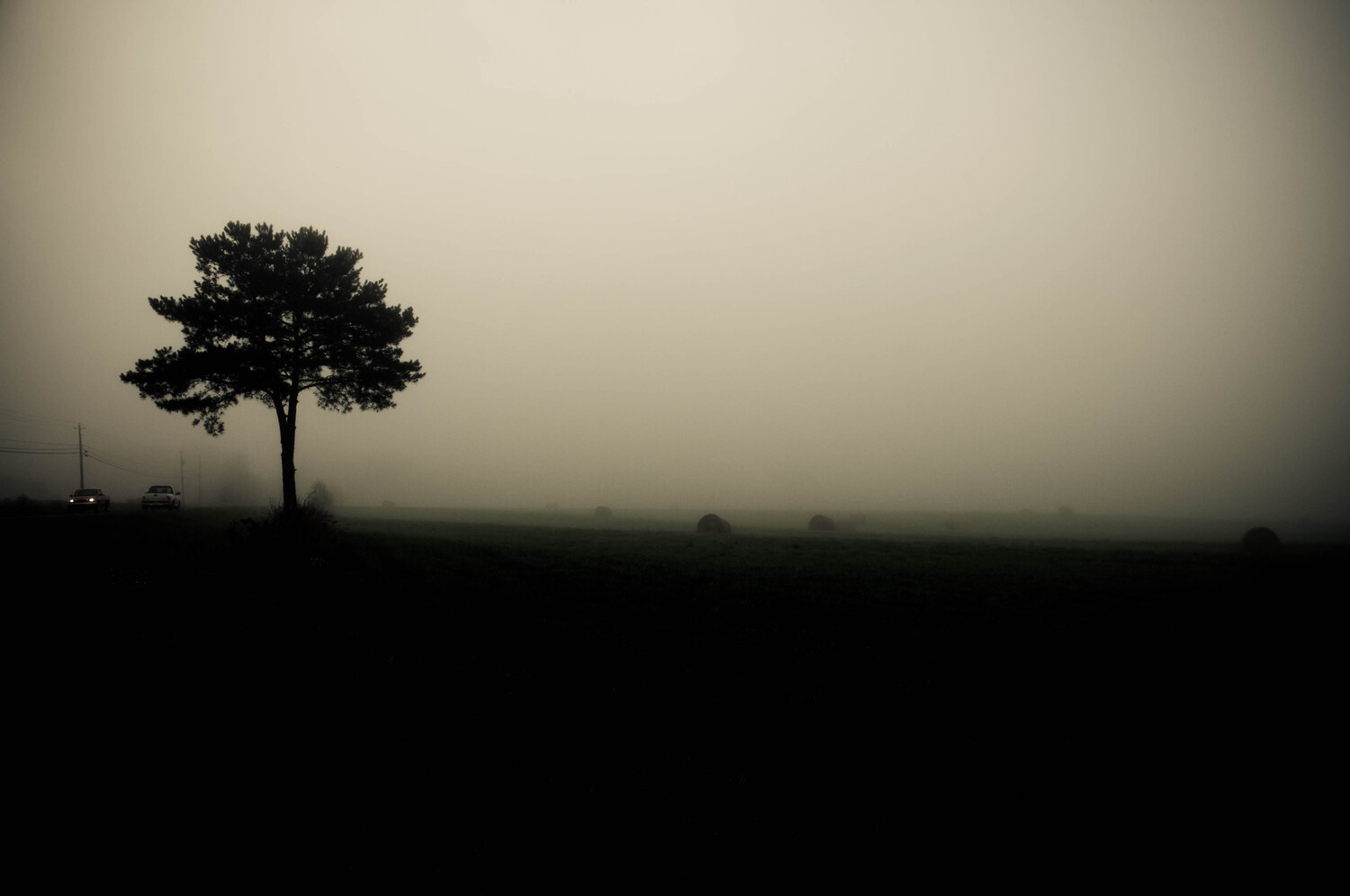 View Untitled 3 by Duncan Mckinnon