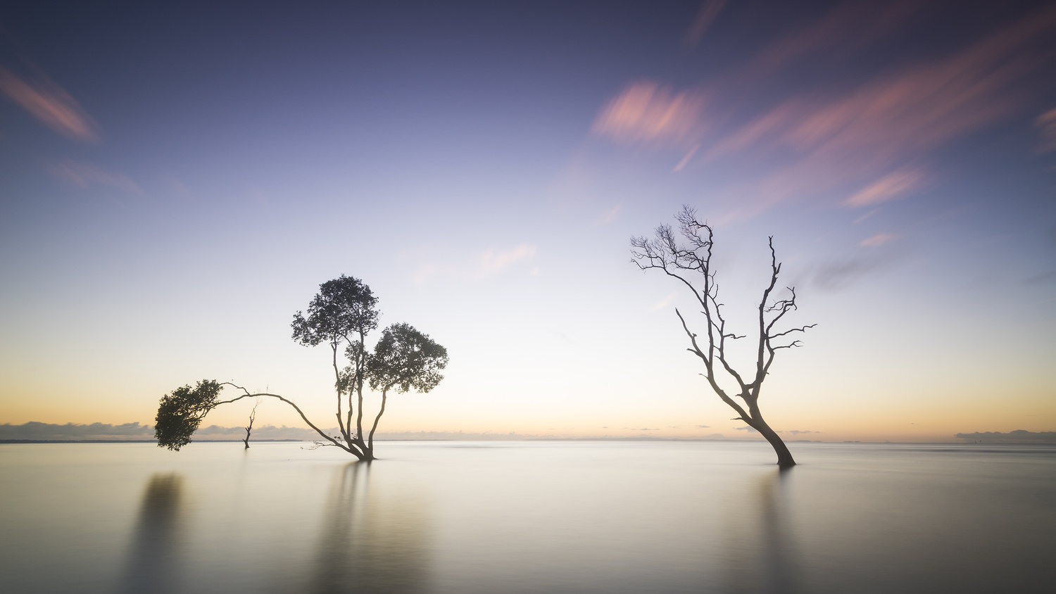 View Untitled 9 by Dan MacPhail