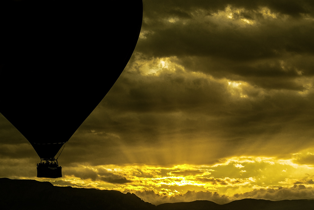 View Albuquerque International Balloon Fiesta by Leo York