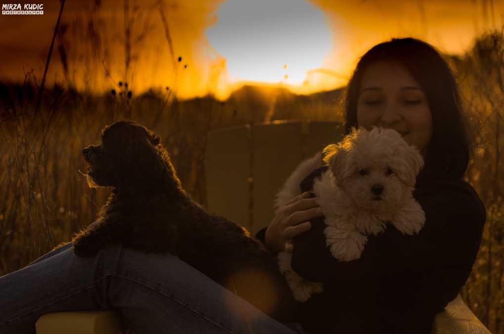 View Just the 3 of us by Mirza Kudic