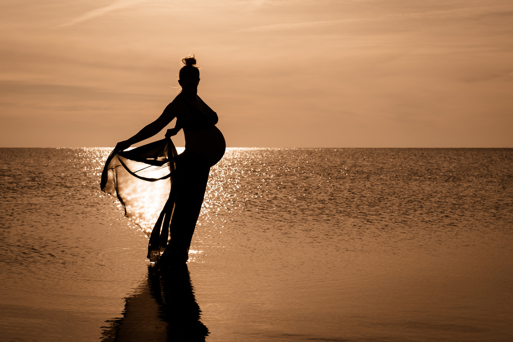 View First Encounter Beach Silhouette by Brian Neidhardt