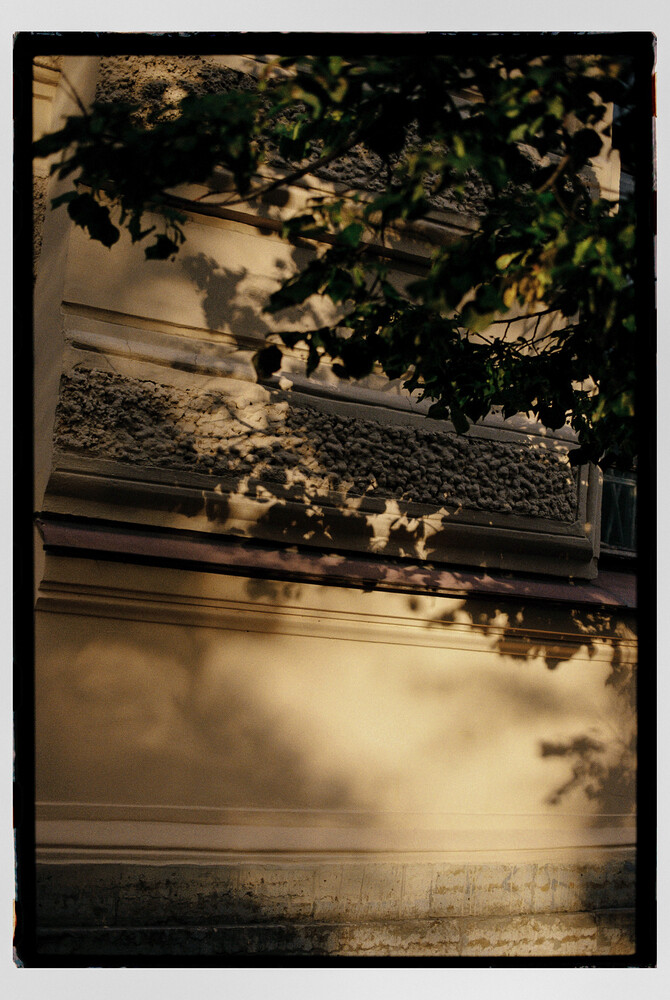 Moody architectural detail with foliage silhouettes and warm light streaming across layered surfaces