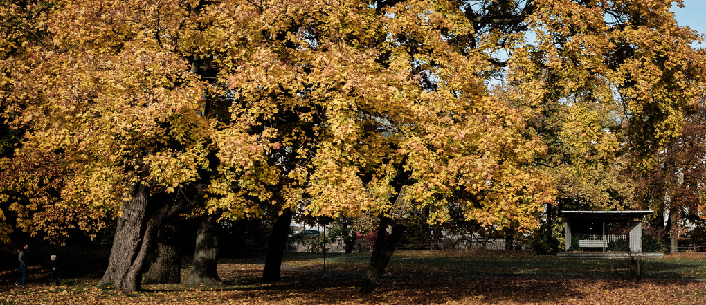 View Autumn stage by Theo Hultberg