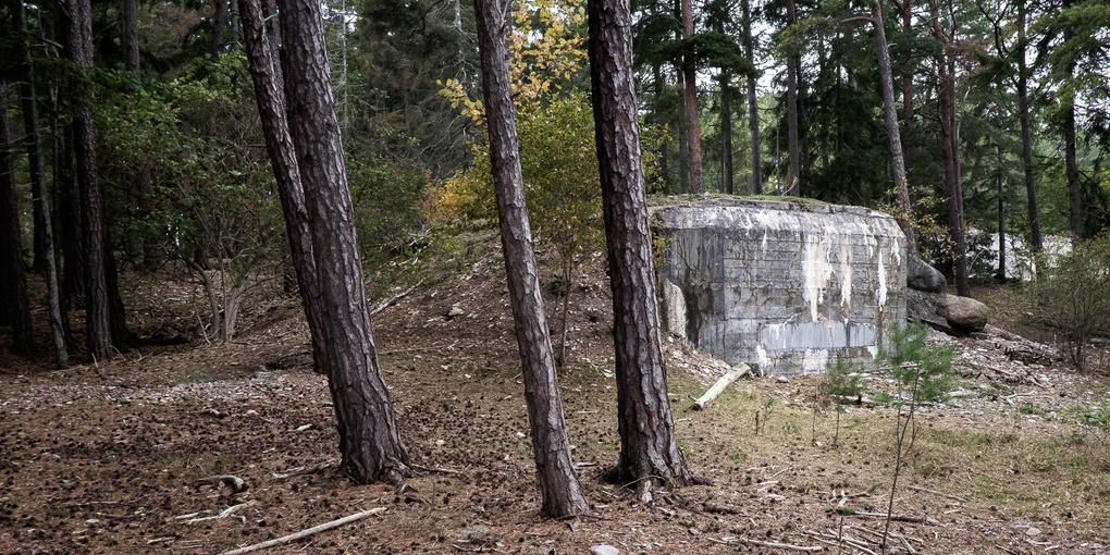 View Abandoned bunker in the woods by Theo Hultberg