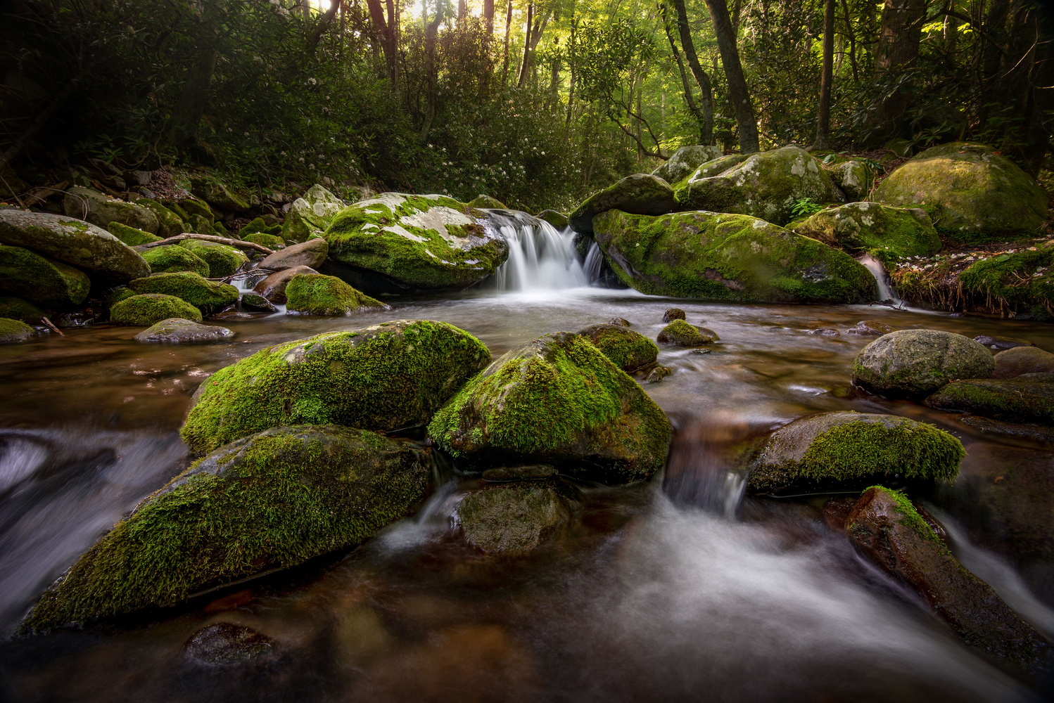 View Untitled 1 by Steve Thrasher