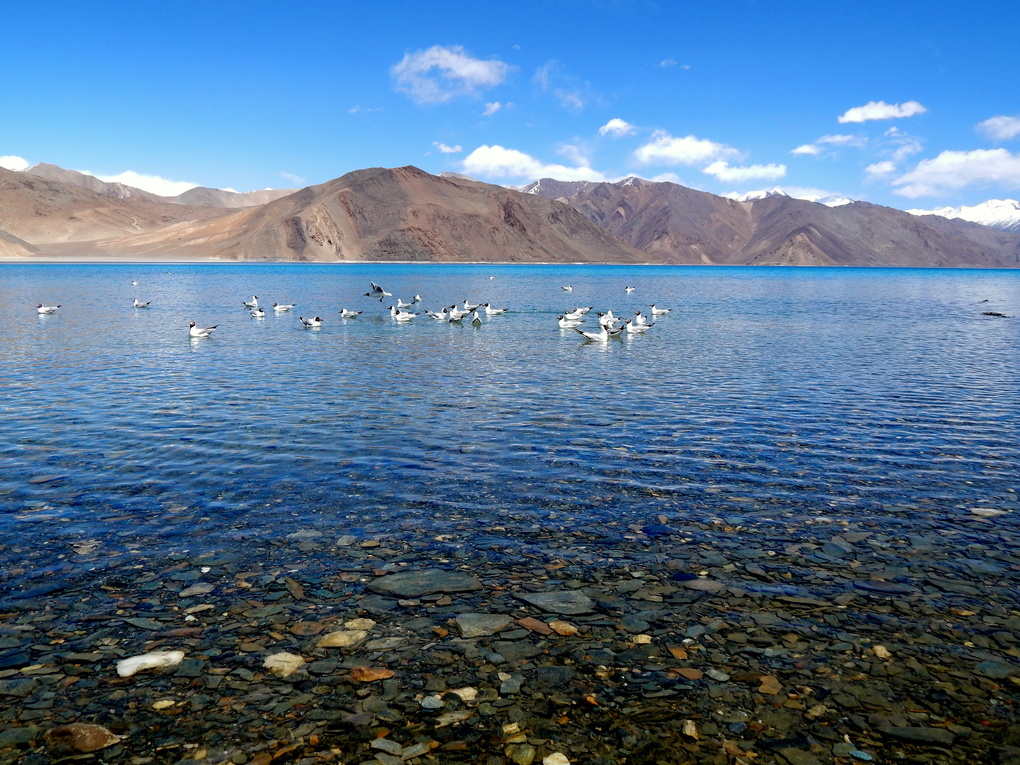 View Untitled 2 by sajid alum