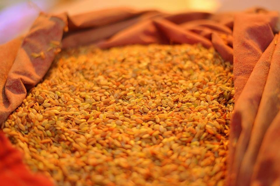 View Post Rice Production by Koch Thao