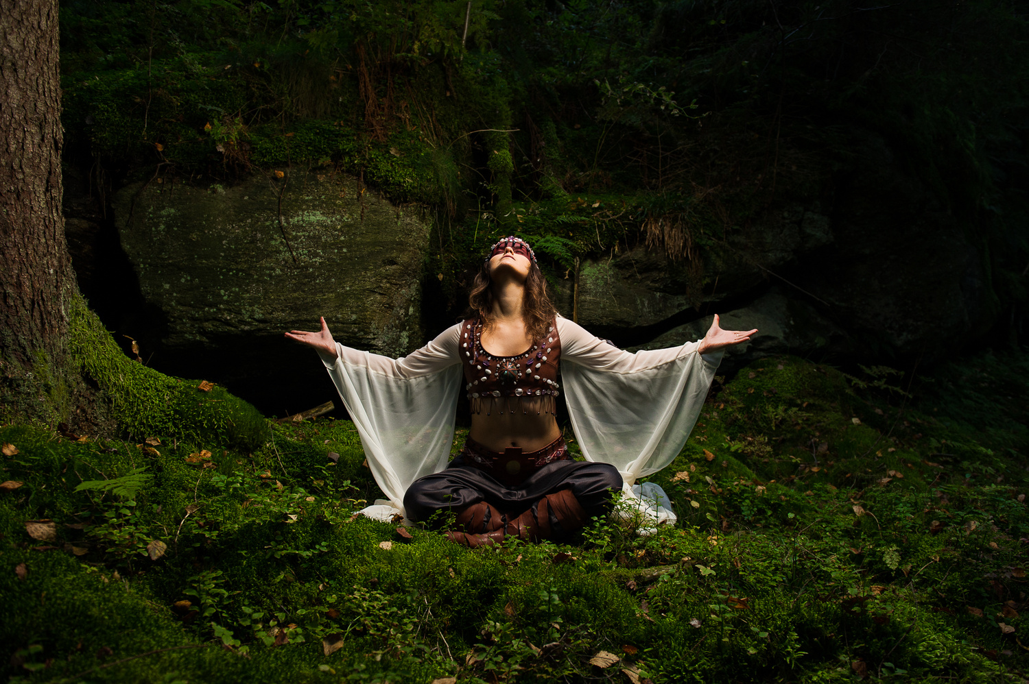 View Meditating in the forest by Robert Qvist