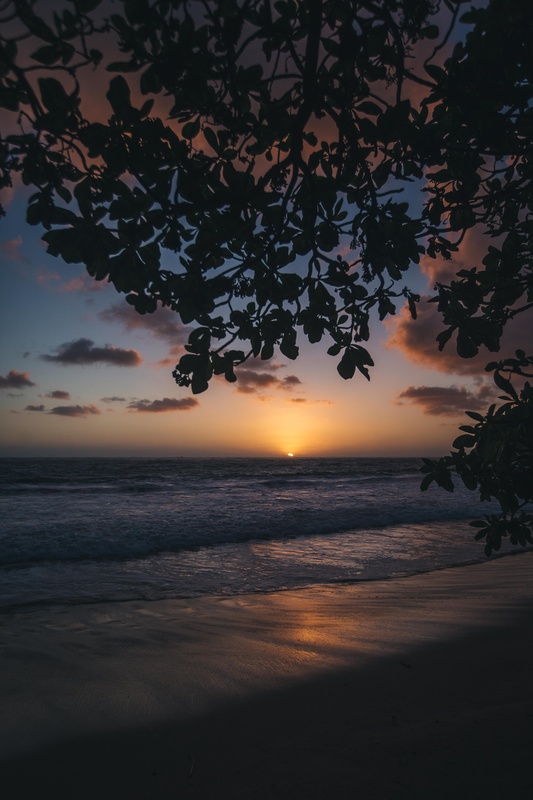 View Backyard Sunrise by Jeffrey Biri