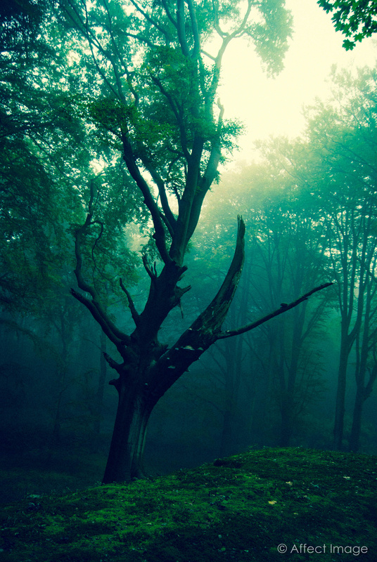 View Going Lord of the Rings by Matthieu Hilckmann