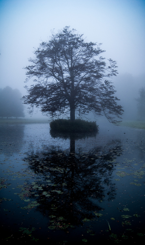 View Mirror image by Matthieu Hilckmann