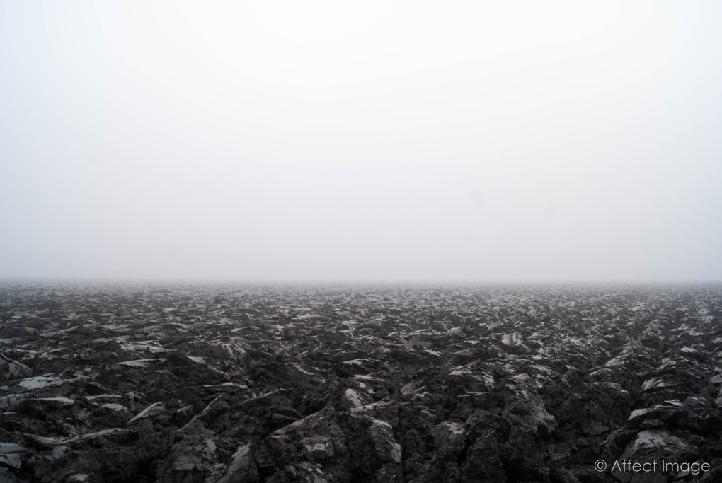 View Alien landscape by Matthieu Hilckmann
