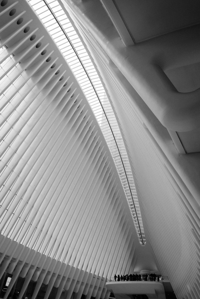 View Untitled 9 by Cedric BRULE