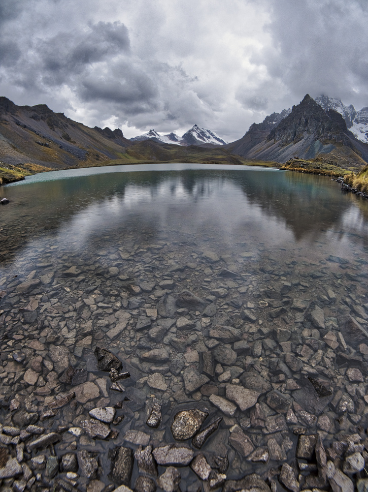 View Untitled 7 by Pedro Pulido