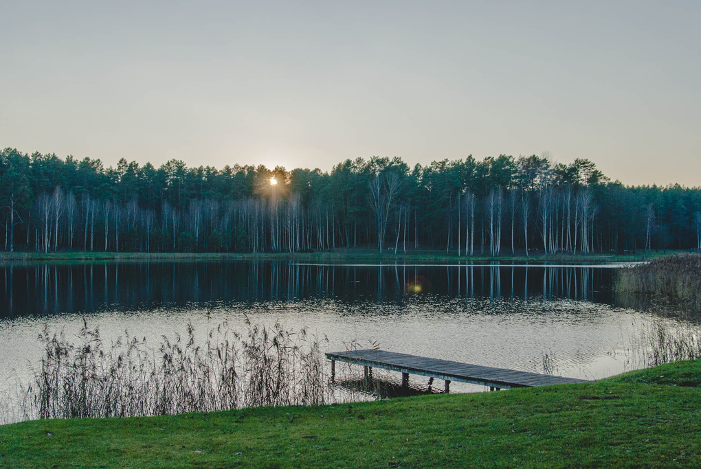 View Lithuanian peace by Nik Zavgorodniy