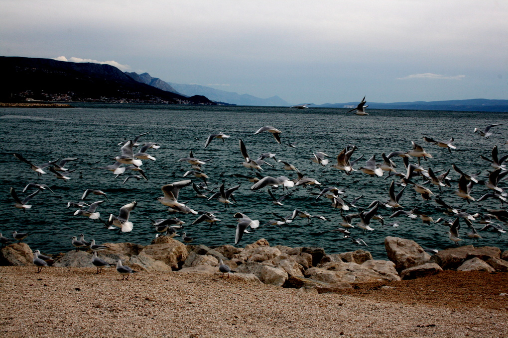 View Winter walk by the sea by Ante Barbir