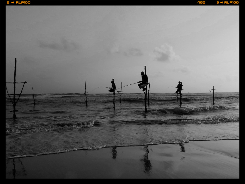 View Untitled 3 by Tracy Wendt
