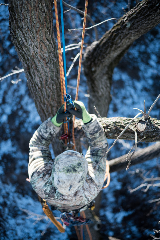 View Camo Ascent by James Fairfield