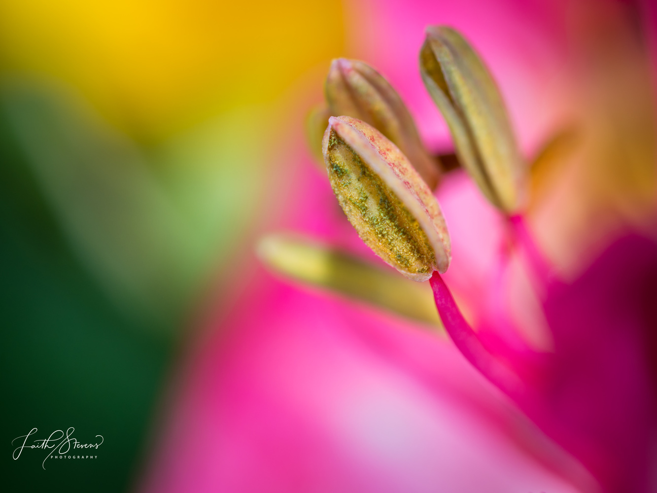 View Untitled 6 by Laith Stevens