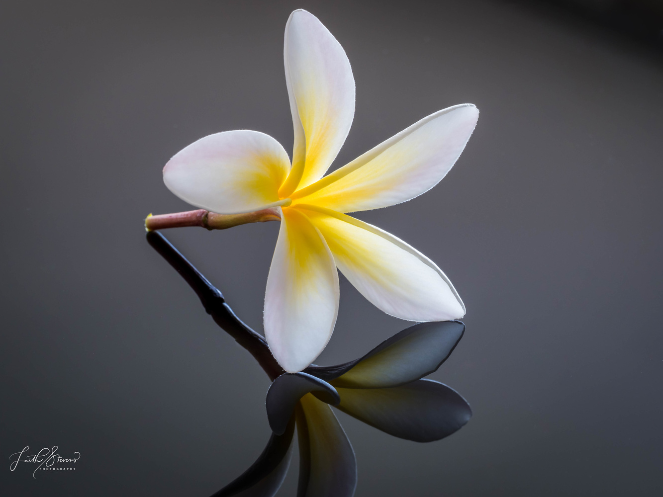 View Untitled 7 by Laith Stevens