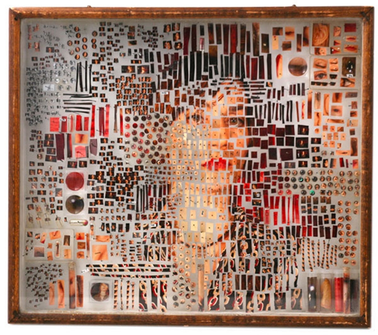 Michael Mapes Creates Photographic Specimen Boxes