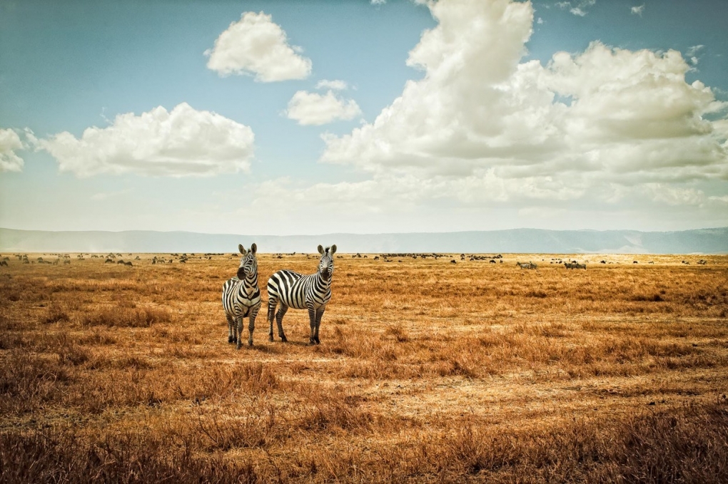 Justin Carrasquillo's Breathtaking African Landscapes