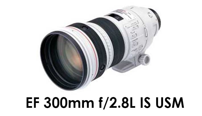 Canon EF 300mm f/2.8L IS USM