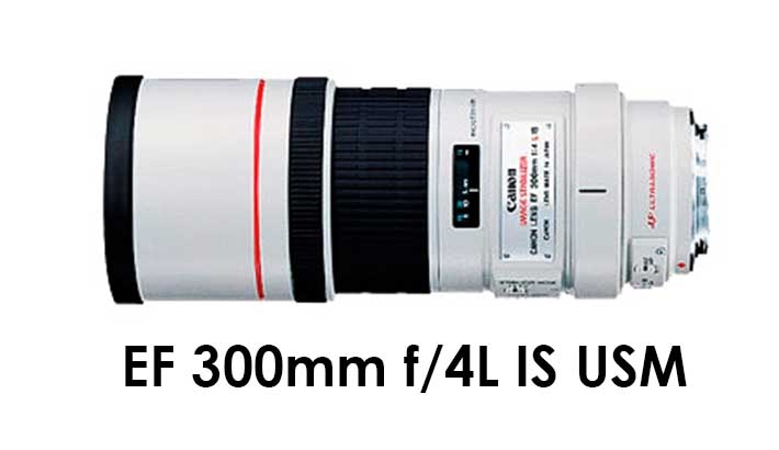 Canon EF 300mm f/4L IS USM | Fstoppers