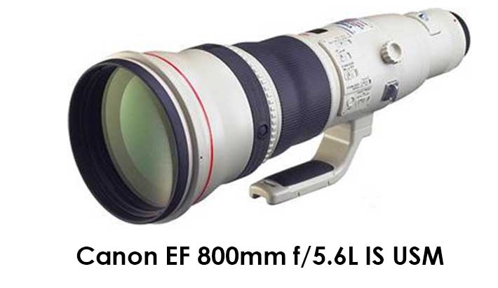 Canon EF 800mm f/5.6L IS USM