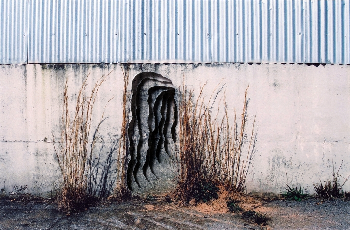 Scott Hazard's Series of Torn Photographs