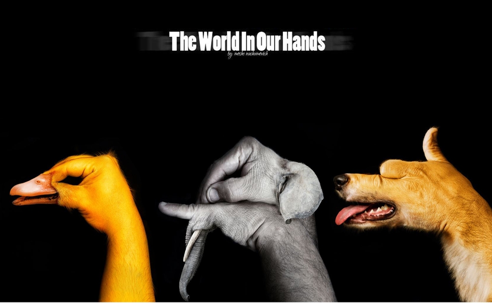 The World In Our Hands: Photo Project Illustrating The Bond Between Humans and Animals