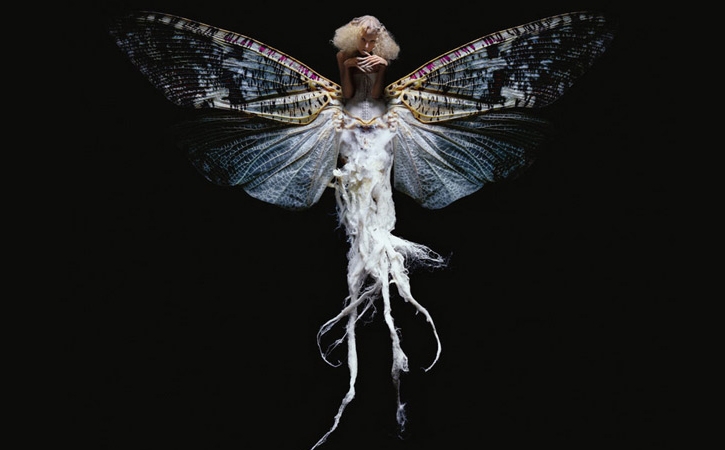 Laurent Seroussi Combines Beauties with Bugs (NSFW)