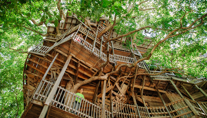 World's Largest Treehouse - A Photo Story by David Walter Banks