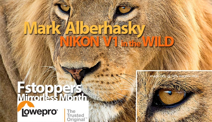 Mark Alberhasky Explains How Mirrorless Cameras Can Trump A DSLR