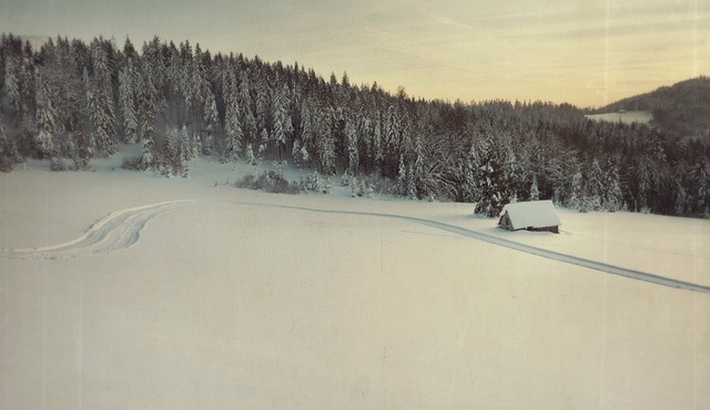 Gorgeous Photography By Lemisiewicz Tomasz