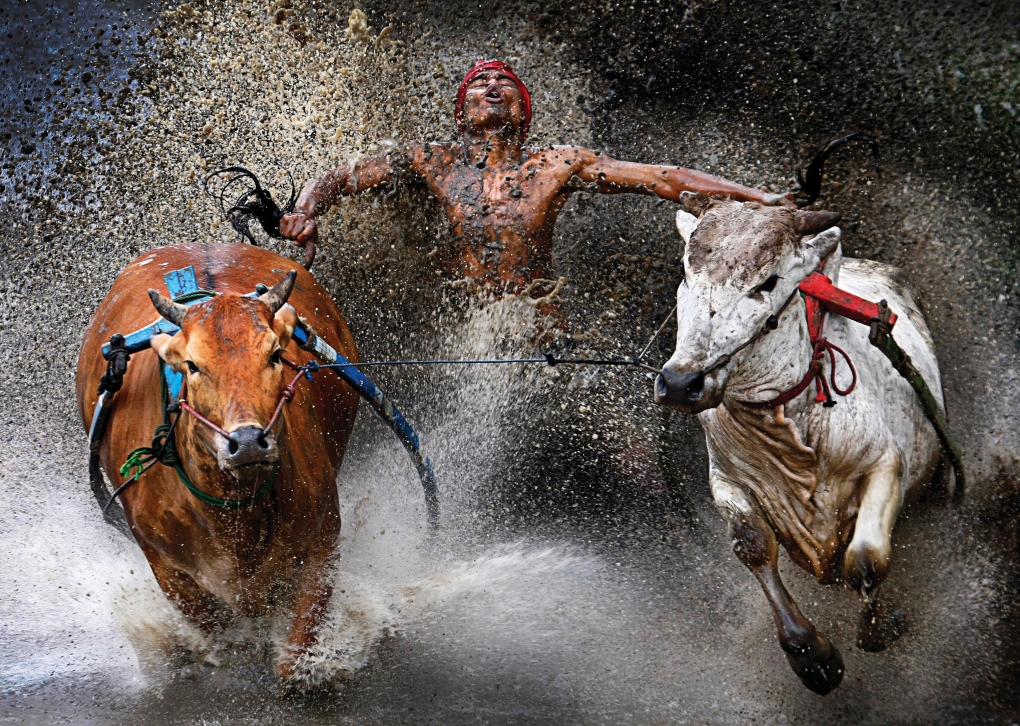 Winners of the 2013 World Press Photo Contest Announced – Some NSFW