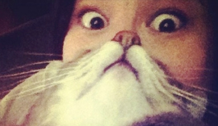 Cat Beards: The Latest Funny Photo Trend Involving Cats