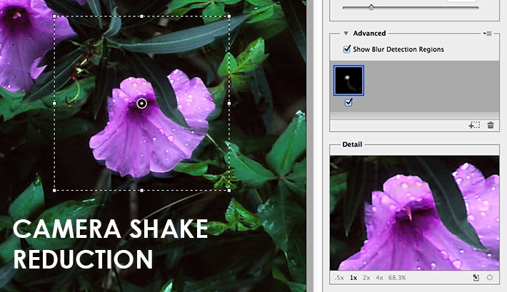What is Camera Shake Reduction and How Does it Work?