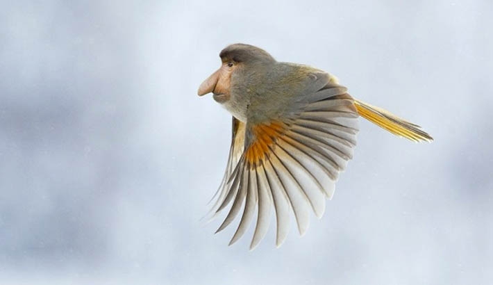 Hilarious New Animal Species Created in Photoshop