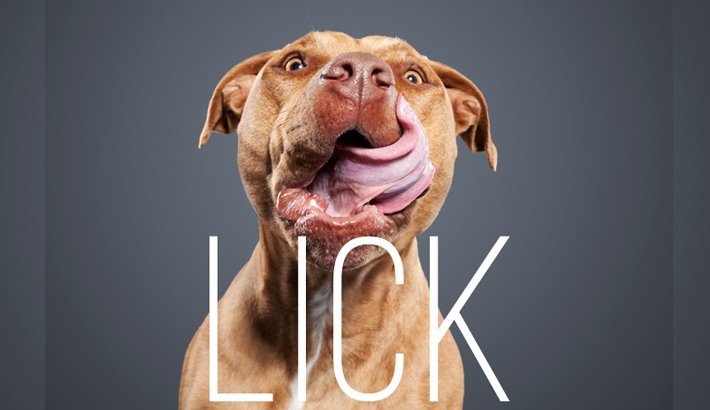 Ty Foster Takes a Shot at Unique Pet Photography with His "Lick" Project