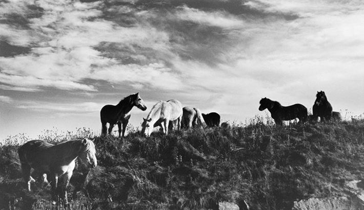 Elliott Erwitt’s Scottish Highland Fling