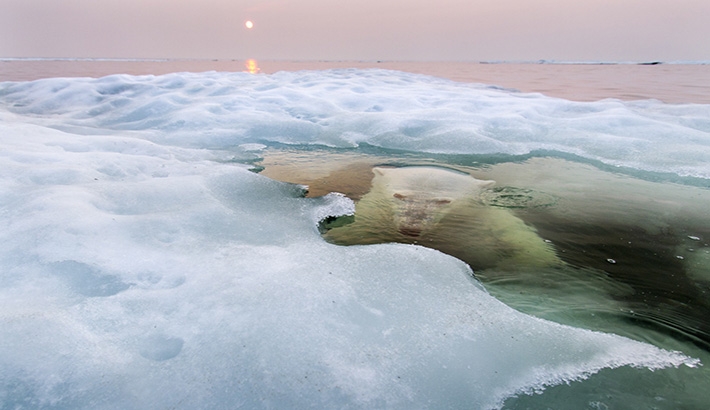 The 2013 National Geographic Photography Contest Winners